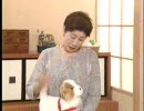 日本直販 愛犬ロボ「てつ」のBGMをアイマスにしてみた（修正版）