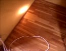 家の中の小さな隙間から這い出てくるアリさん