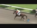 障害3歳上未勝利_ゴールデンガッツ