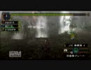 【今さら】適当に魚っぽい何かを狩りに出かけた【MHP2G】