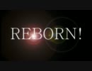 忙しい人の為のREBORN！OP集