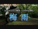 なぞかけ自主練部 お題「梅雨」その３