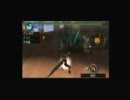 MHP3でちっちゃいヘタ猫が怪獣に遊ばれてみた　part2