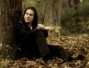 The Best Pessimist - Autumn Leaves