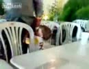 ３歳子供が父親に向けて銃を撃つ