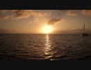 51881467.mp4