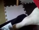 マンガくらい読ませて(´；ω； ｀)