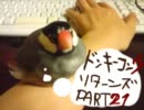 【実況プレイ】ドンキーコングリターンズをやってみる【その21】