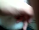 猫が手を噛むだけの動画