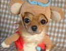 Aviutlが楽しそうだったから魔法陣作ってみた
