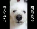 【三国志大戦3】息抜きに純正神速！　その3