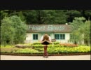 【ＡＣＴ】Heart Beats【踊ってみた】