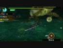 MHP3　渓流の一番長い日　3