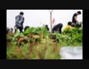 芋（ユメ）を求めて