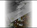 【NNIオリジナル曲】FoliarScape【和風インスト】