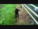 梅雨の晴れ間の散歩