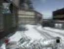 北極海から進軍してきた白クマ