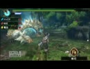 【MHP3】月下の渓流に、双雷は轟く 【大:1 双:1 片:1 PT】