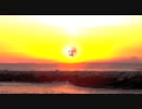 【HIWIRE】ビオのサマーサンセット