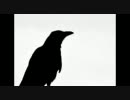 【現海老ＣＲＯＷの】特務ｖｓとろこん三戦目【ボーダーブレイク】
