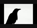 【現海老ＣＲＯＷの】特務ｖｓとろこん四戦目【ボーダーブレイク】