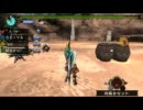 【紫電】MHP3rd　四面楚歌5:14討伐