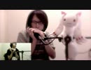 {Harmonica}魔法少女まどか☆マギカOP「コネクト」