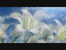 テスト動画②