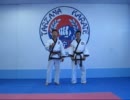 朝鮮忍者、新たな偽武道「唐手道（Tang Soo Do）」をはじめる