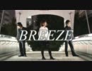 【パルつな】BREEZE踊ってみました【猫舌】
