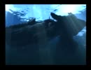 【観るFF10】  真面目に（ほぼ）完全攻略を目指してみる Part28  【字幕】