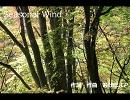 Seasonal Wind