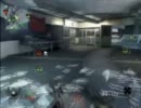 北極海から進軍してきた白クマ No8（BO）