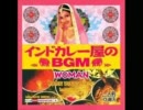 【低音質】インドカレー屋のBGM　WOMAN【64kbps】