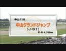 【競馬】 2011年 第13回 中山グランドジャンプ(Ｊ・ＧＩ)