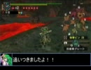 【東方】迷い込んでポッケ村　第二十話・狩猟後編【ＭＨ】