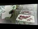 HOSPITAL.～中二病の医師～　アタフタ実況プレイ　カルテ.48