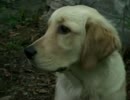 成長したおっちゃん ピクニック＆野外撮影編 2/2