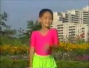 【北朝鮮】踊らされてみた