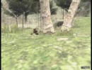 49_羅針の行方_1