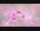 The Shadows - Spring is nearly here