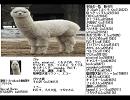 第2回順番マリ　サライ