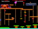 Donkey Kong JR.