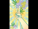 極上Cannabis / ECLER