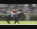 【競馬】 2011 中山グランドジャンプ マイネルネオス 【ちょっと盛り】