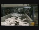 Watch It Shred! - おむつ粉砕