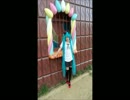 World is Mine VOCALOID esutheru cover