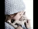 猫の画像まとめ
