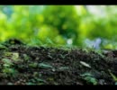 【初ボカロが】rain stops, good-byeを歌ってみた【この曲】