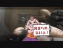【ゆっくり実況】不真面目ゆっくりのニーアレプリカント　part18